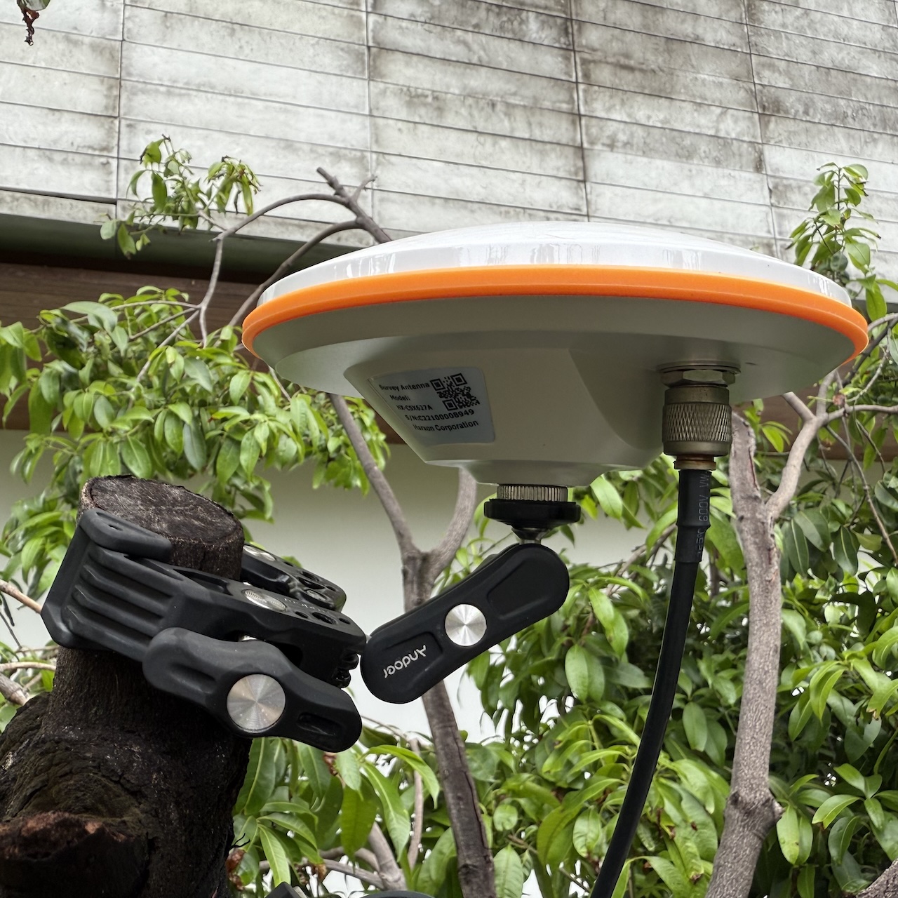 Harxon antenna mounted on tree